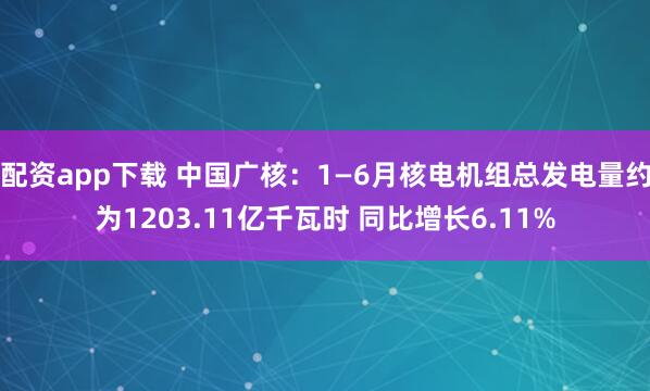 配资app下载 中国广核：1—6月核电机组总发电量约为1203.11亿千瓦时 同比增长6.11%